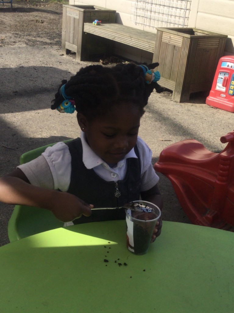 Nursery pupils are seen learning about the life cycle of plants by planting their own seeds and helping them grow.