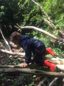 A young boy from Nursery can be seen climbing along a tree branch in the Forest School.